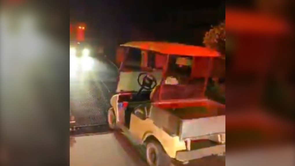 Delta police golf cart