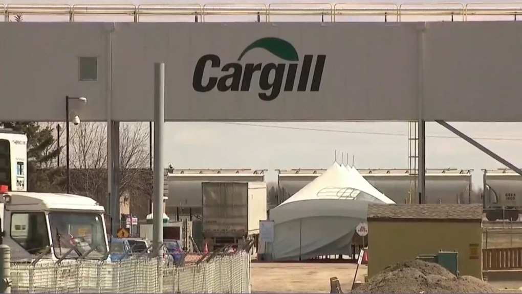 Cargill, High River, COVID-19