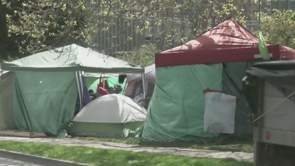 Victoria family fears living near homeless camp