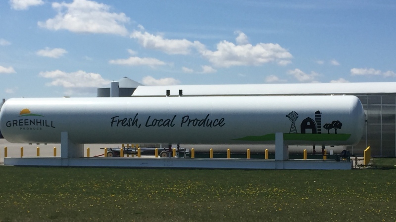 Greenhill Produce in Chatham-Kent, Ont., on Monday, April 27, 2020. (Bryan Bicknell / CTV London)