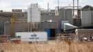 Cargill Protein says it will begin production at its High River facility once again on May 4, 2020. (File)