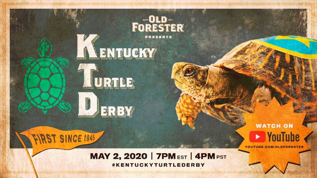 Kentucky Turtle Derby promotion