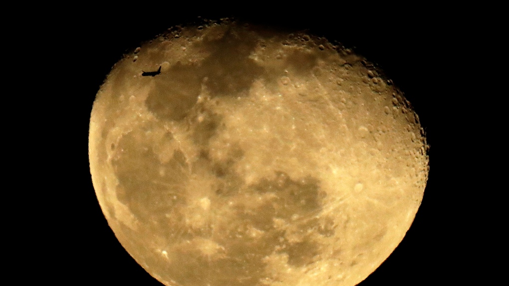 State moon. Луна НАСА. Как выглядит Луна в космосе.