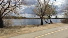 Wascana Park is seen in this file photo. (Gareth Dillistone/CTV News) 