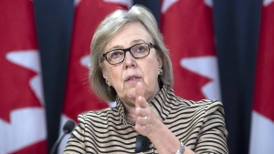 Parliamentary leader of the Green Party Elizabeth May speaks during a news conference in Ottawa on February 19, 2020. THE CANADIAN PRESS/Adrian Wyld