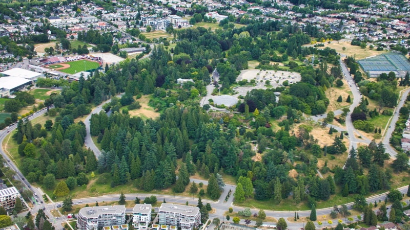 Queen Elizabeth Park is seen in Vancouver in June 2019. (Pete Cline / CTV News Vancouver)