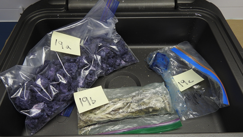 Police say that a significant amount of drugs that were coloured for branding and trafficking were seized at a Victoria apartment building last week: (Victoria Police)