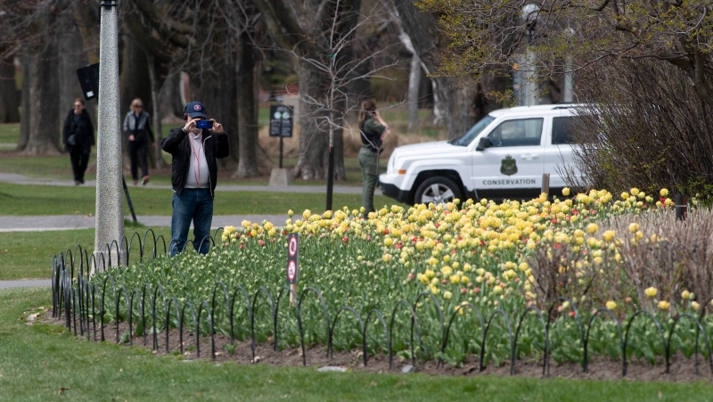 A man stops to take a photo of early tulips as a Conservation officer watches the park space in Ottawa, Wednesday May 6, 2020. The public is only allowed to walk through public parks after the province extended measures to deal with Covid-19 until May 19th. (Adrian Wyld/THE CANADIAN PRESS)