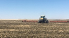 A farmer works on their field near Regina on May 7, 2020 (Katy Syrota / CTV News Regina)
