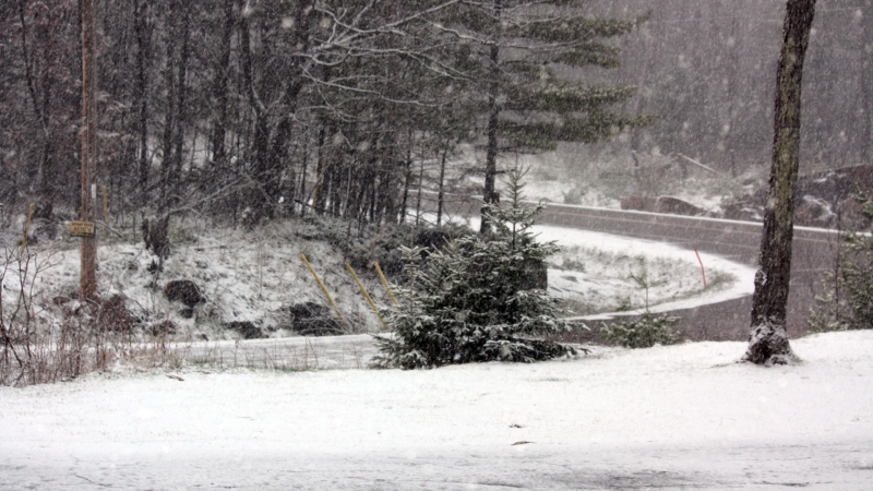 Residents woke up to snow in Pembroke on Friday, May 8. 