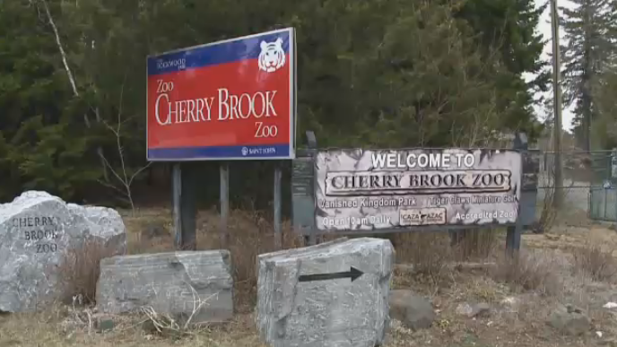 After 40 years in business, the Cherry Brook Zoo shut down last spring after its financial struggles proved too much.