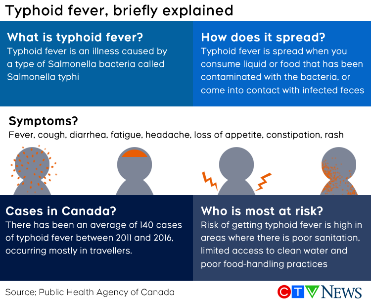 typhoid fever explained