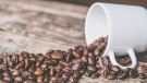 Coffee Beans and White Mug (Jessica Lewis/Pexels)