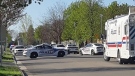 Police respond for a weapons call on Bonaventure Drive in London, Ont. on Wednesday, May 20, 2020. (Source: Michele Lupa)