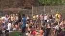 Large crowds were seen at Trinity Bellwoods Park.