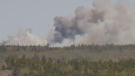 At around 12:20 p.m., Halifax Fire crews were called to a wildfire off of Highway 107 in Porters Lake, N.S., near West Porters Lake Road.