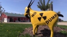 Anti-nuclear waste dumping sign near Teeswater Ont. on May 25, 2020. (Scott Miller/CTV London)