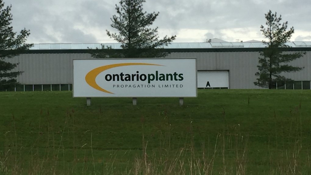 Ontario Plants Propagation
