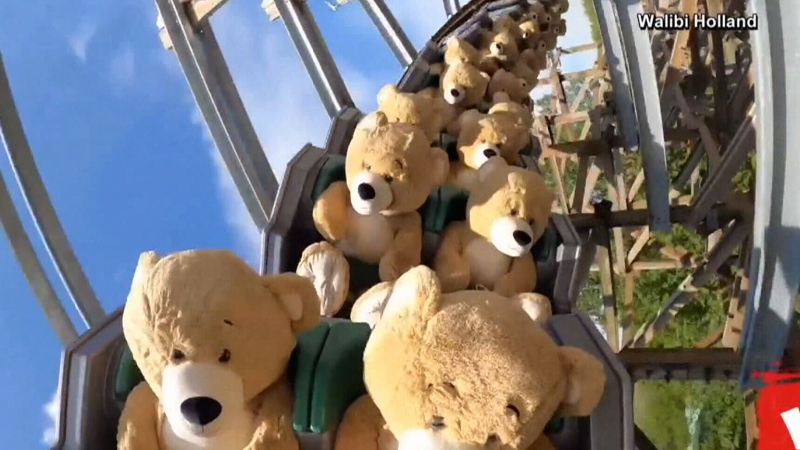 22 over sized teddy bears ride a roller coaster 