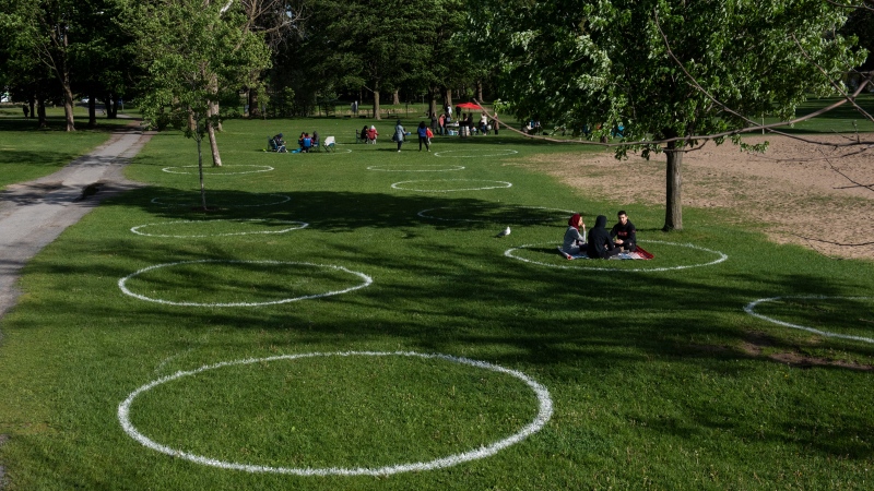People picnic in circles painted on the grass in one section of Mooney's Bay Park in Ottawa, to encourage people to maintain physical distancing, on Sunday, May 31, 2020, in the mist of the COVID-19 pandemic. (Justin Tang/THE CANADIAN PRESS)