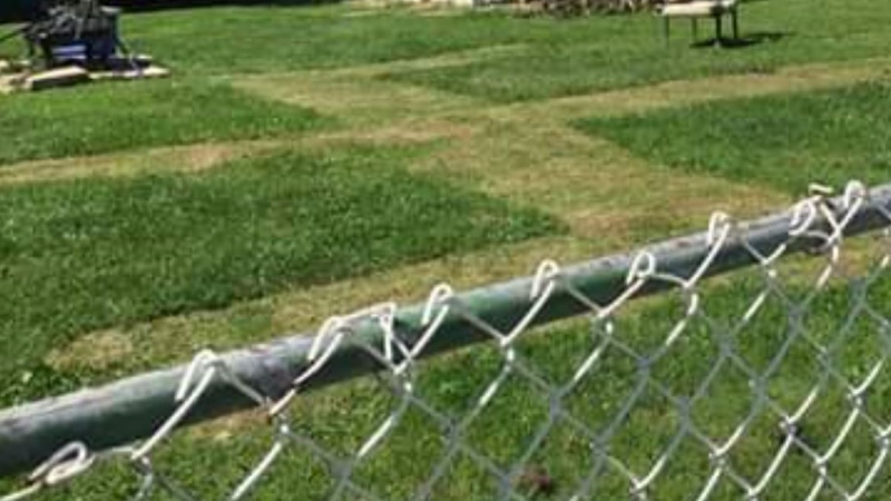 A swastika mowed into the lawn of a home in the 100 block of Victoria Street South in Amherstburg, Ont. on Saturday June 6, 2020 (Photo via Facebook/Ashley Meloche)