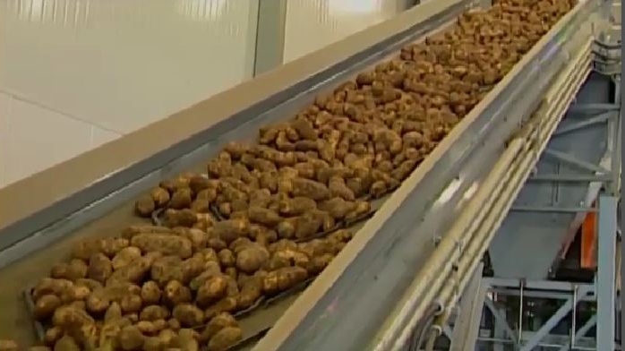 Matt Hemphill of Potatoes NB says "we have about 50 million pounds of potatoes sitting in storage right now."