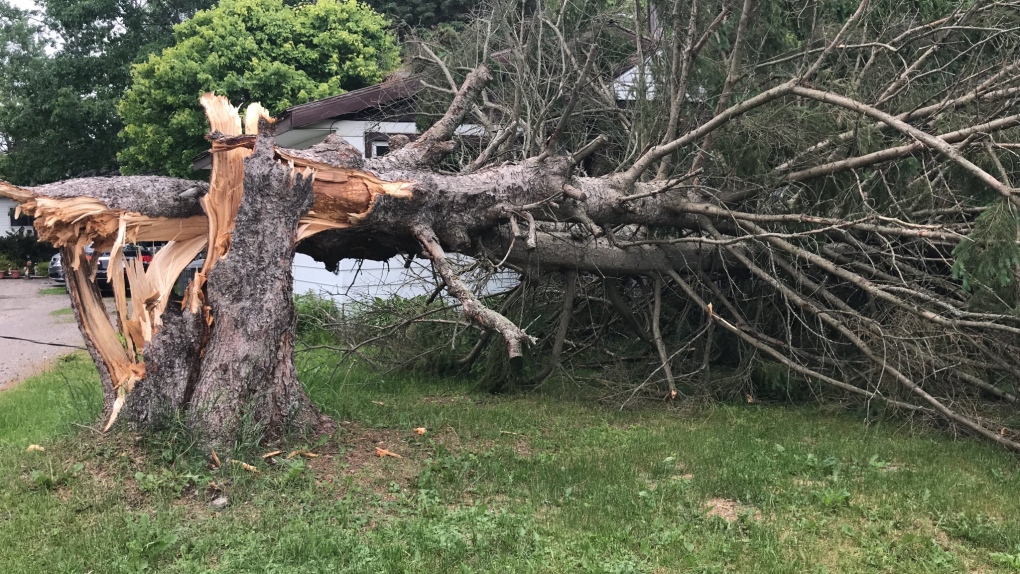 Bracebridge storm