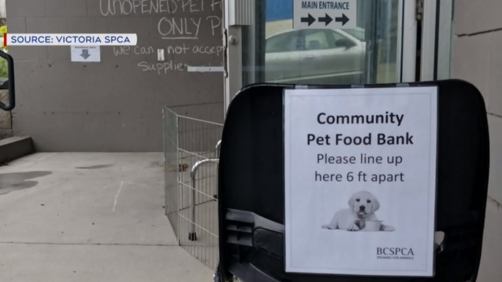 spca pet food bank