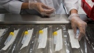 Employees work at the Canadian Hospital Specialities (CHS) helping take dual COVID-19 testing swab kits and separating them into two units to help with swab capacity during the COVID-19 pandemic in Oakville, Ont., on Monday, June 8, 2020. (Nathan Denette/The Canadian Press) 