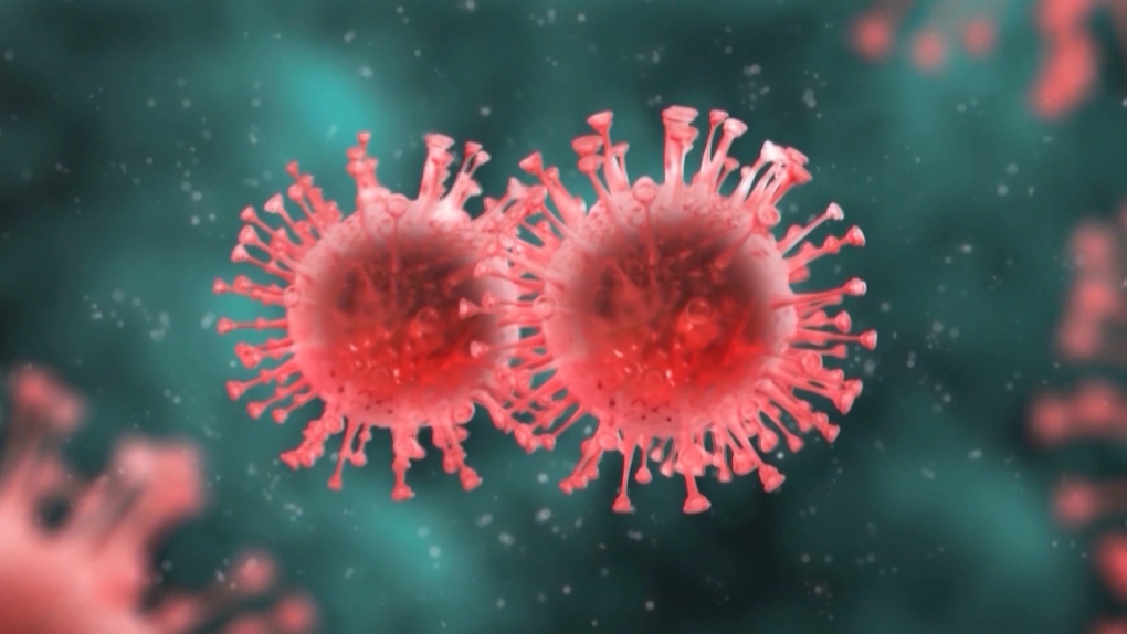 Two more coronavirus deaths in Manitoba, 173 new cases reported on Friday |  CTV News
