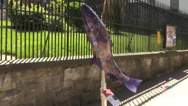 Dozens of colourful six-foot salmon sculptures are scattered throughout Saint John’s city core, as part of an art project called “Salmon Run.”	