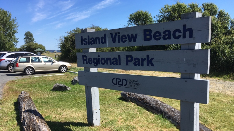 Island View Beach is pictured: June 17, 2020 (CTV News)