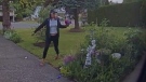 A Comox Valley woman says she was shocked and disappointed after spotting someone trespassing on her grandmother's property to pick flowers.