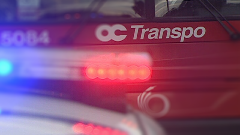 File Photo: OC Transpo bus and police vehicle lights