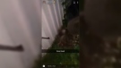 This blurred image from a video posted to Snapchat shows a possum that appears to have been shot.