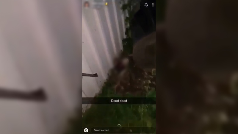 This blurred image from a video posted to Snapchat shows a possum that appears to have been shot.