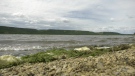 Saskatchewan lakes are seeing toxic levels of algae, according to a study from the University of Regina. (Alison Mackinnon/CTV News Yorkton)