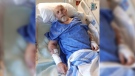David Hillier of West Grey, Ont. is seen in a London hospital in this image released by Charney Law.