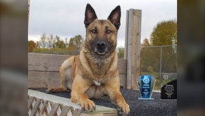 Jaks, a Conservation Officer Service Dog, is retiring from the Ministry of Environment after an eight-year career. (Source: Government of Saskatchewan)