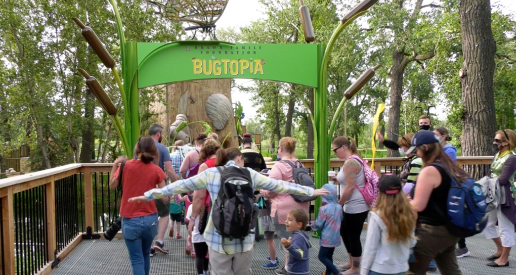 Bugtopia, Calgary Zoo