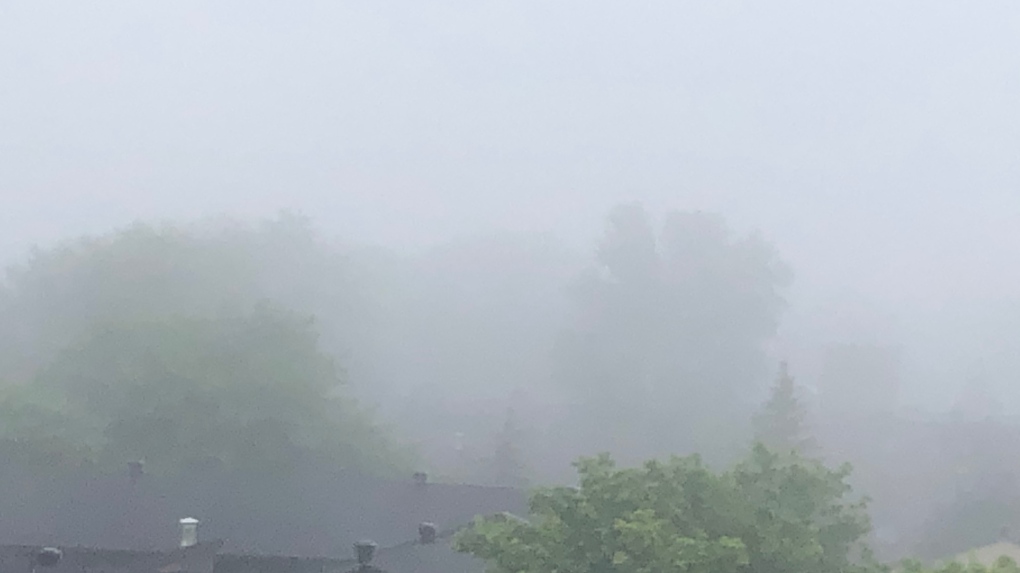 Fog Ottawa rooftops