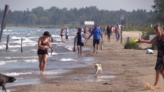 Beach-goers enjoying the sand in Sauble Beach, Ont. on Friday, July 3, 2020. (Scott Miller / CTV News)