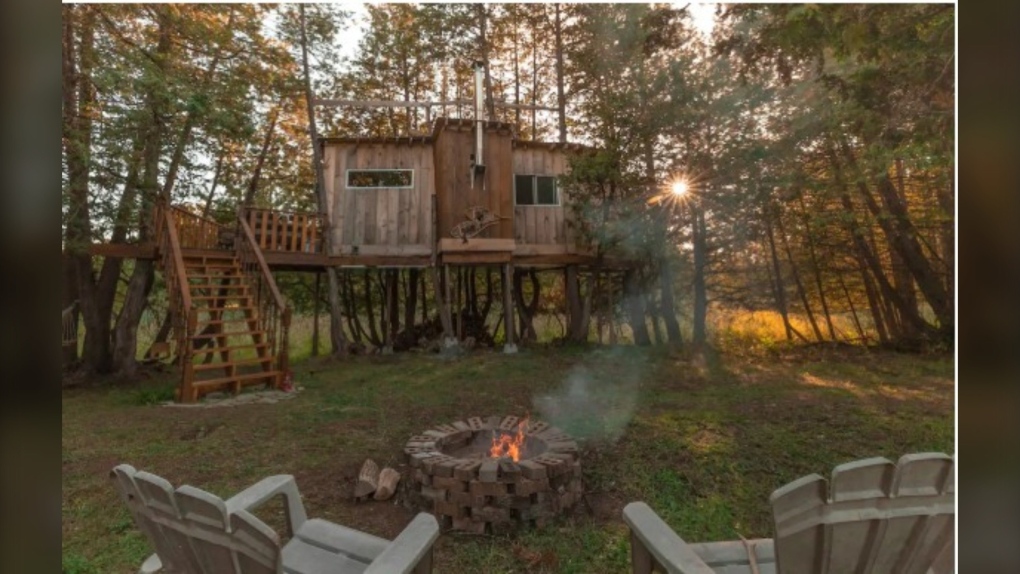 Isolation Tree House Cabin