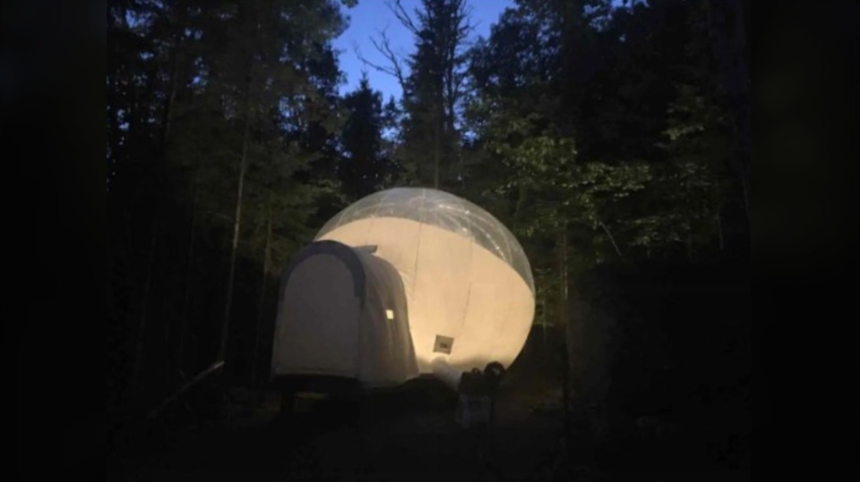The Forest Bubble Tent