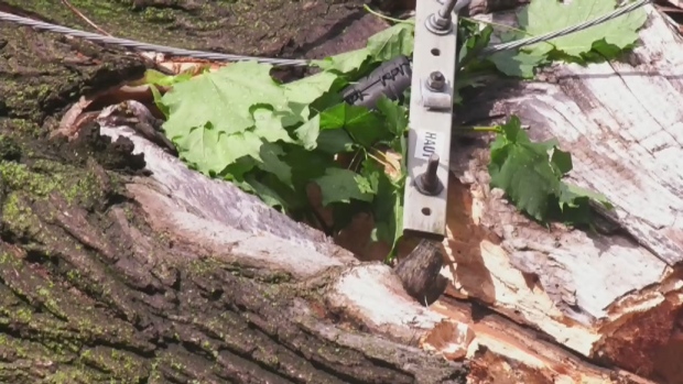 Flooding, damage after storm in Montreal