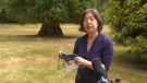 Dr. Dee Hoyano, medical health officer for Island Health, is shown: (CTV News)