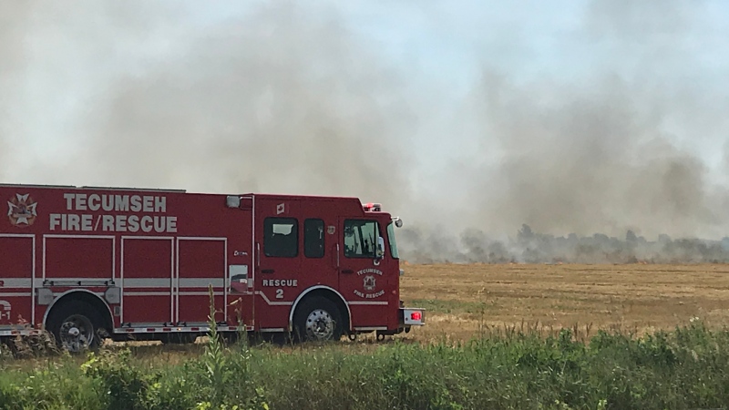 Tecumseh fire on the scene of what appears to be a field fire in Essex, Ont. on Wednesday, July 15 2020. (Michelle Maluske/CTV Windsor)