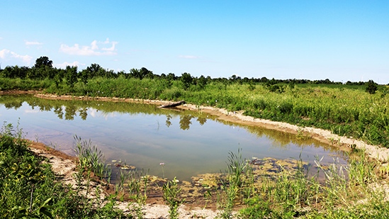 Officials visited a new wetlands project in Chatham-Kent, Ont. on Tuesday, July 15 2020 (courtesy Municipality of Chatham-Kent)