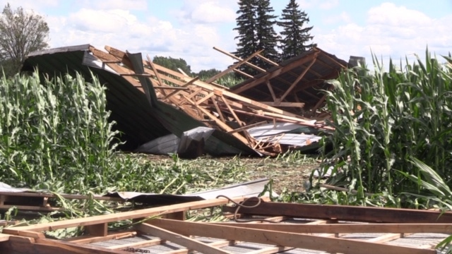 Storm damage in Huron County on July 20, 2020. (Scott Miller/CTV London)