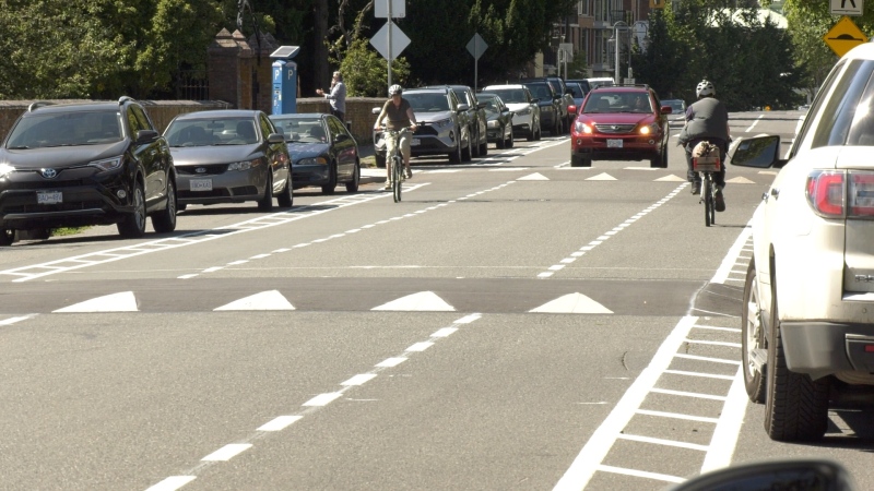 The new traffic pattern on Humboldt Street, which allows for two-way traffic in the single lane, is confusing some Victoria motorists: (CTV News)